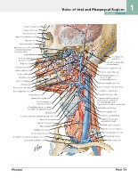 Frank H. Netter, MD - Atlas of Human Anatomy (6th ed ) 2014, page 90